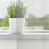 Voile zavjese s ušicama 2 kom svijetlosive 140x225 cm | Shoptok.si