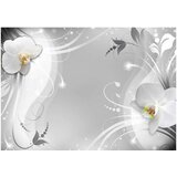  Tapeta - Charming orchid 300x210 | shoptok.hr