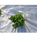 Garden Pleasure Malč tkanina - | shoptok.hr