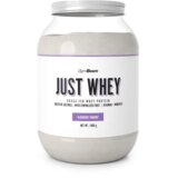 GymBeam just whey 1000 g blueberry yoghurt | ePonuda.com