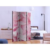 Artgeist PARAVAN 135/172/3 cm pink, svetlo roza | Shoptok.si