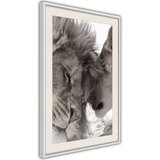  Poster - Predatory Couple 40x60 | shoptok.hr