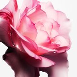 Mugler Angel Nova parfumska voda polnilna za ženske 25 ml | Shoptok.si