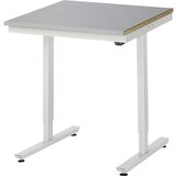 RAU Delovna miza z električno nastavitvijo višine, obloga iz nerjavnega jekla, nosilnost 150 kg, ŠxG 750 x 800 mm | Shoptok.si
