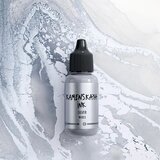  Alkohol metalik mastilo KAMENSKAYA 15ml | M-011 silver Cene