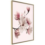  Poster - Blooming Magnolias I 30x45 Cijene
