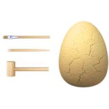  Archaeology Set Dinosaur Egg Fossils | shoptok.hr