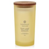 Chesapeake Bay Candle Mind & Body Strength & Energy dišeča sveča 355 g | Shoptok.si