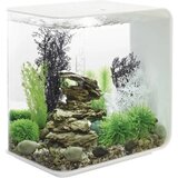 Oase Akvarij 30 l Sa LED rasvjetom 45925 | Eponuda.ba