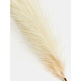 Sinsay Ukrasna umjetna biljka | shoptok.hr