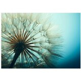  Samoljepljiva foto tapeta - Blue Fascination 98x70 | shoptok.hr