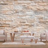  Samoljepljiva foto tapeta - Stony Gracefulness 245x175 Cijene