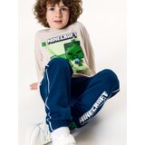 Sinsay Donji dio trenirke jogger Minecraft | shoptok.hr