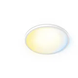 Valen Ceiling Light 22W