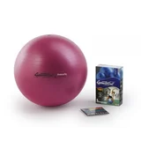 PEZZI GymBall MAX žoga, roza, škatla, 42 cm