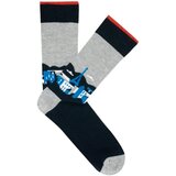 Cabaia Nogavice CAB392GGRR SOCKS PIERRICK ET ROMANE Modra Cene
