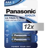 Panasonic 12x2 Evolta LR 03 Micro LR03EGE/2BP - baterije Cijene