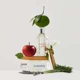 Tommy Hilfiger tommy toaletna voda 100 ml za moške Cene