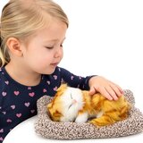  Mačka koja spava na jastuku sa zvučnim efektima - bijelo/žuta | shoptok.hr