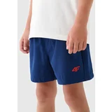 4f Boys' swimming shorts