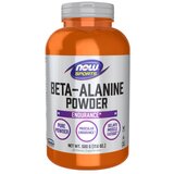 Now Foods Beta-alanin v prahu NOW (500 g) | Shoptok.si