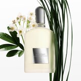 Tom Ford Grey Vetiver parfemska voda za muškarce 100 ml | shoptok.hr