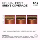 L´Oréal Paris Casting Creme Gloss barva za lase odtenek 645 Jantar 1 kos | Shoptok.si