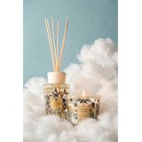 Baobab Collection My First Baobab Tomorrowland darilni set | Shoptok.si