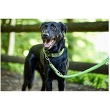 Povodac za pse Hunter HILO Lime (200 cm) | shoptok.hr
