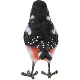 Esschert Design Vrtna figurica od polyresina Bird – | shoptok.hr