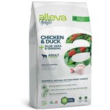 Diusapet alleva hrana za pse holistic maxi adult - piletina i pačetina 2kg Cene