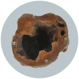 In Klubska mizica iz tikovine in stekla 50x40 cm | Shoptok.si