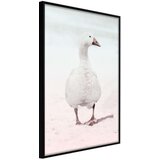  Poster - Walking Goose 20x30 Cijene
