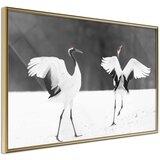  Poster - Bird Date 45x30 Cijene
