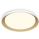 Philips - LED prigušiva plafonska svetiljka PEBBLO LED/10W/230V 2700K bela Cene