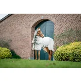 Horseware Ireland Pregrinjalo Rambo Hoody, Chalk / Hunter Green & Silver - 130 cm