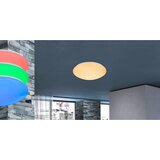 Globo Stropna Led-svetilka Hally, S Sijalko | Shoptok.si