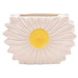 Widdop & Co. The Cottage Garden - Vaza - The Cottage Garden, Daisy Cene