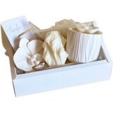 Marfeja Gift Shop Poklon Set Dve Orhideje, Beli Cene