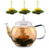 Feelino Stekleni čajnik, 1300 ml, borosilikatno steklo, s pokrovčkom, cedilo za čaj in čajni cvetovi | Shoptok.si