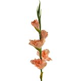 Mondex Umetni gladiolus gumirana Viridis Mieczyk 85cm zelena 1kos, (5000301155) Cene