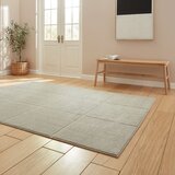 Think Rugs Svetlo siva preproga 160x230 cm Elio Silver – | Shoptok.si