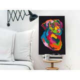  Slika za samostalno slikanje - Colourful Dog 40x60 | shoptok.hr
