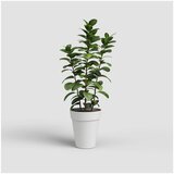 Artevasi Posuda za cvijeće od reciklirane plastike ø 40 cm Capri – | shoptok.hr