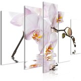  Slika - Delightful Orchid (5 Parts) Wide 100x50 | shoptok.hr