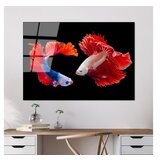WALLXPERT dekorativna slika od kaljenog stakla fishes (uv 167) 70 x 100 cm Cene