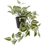  Veštačka biljka ASGAR V24cm zelena ( 4911821 ) cene