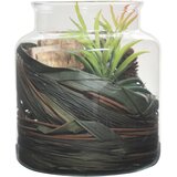 Kayoom OKRASNA RASTLINA 18/20/18 cm | Shoptok.si