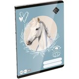 ICO ICO: LizzySuli Wild Beauty Sport Club zvezek brez črt A5 20-32 Cene