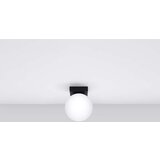  Stropna svetilka YOLI 1 črna, (21348159) | Shoptok.si